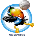 VOLEYBOL